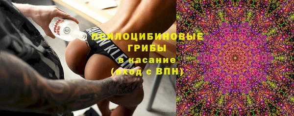 ешки Лагань