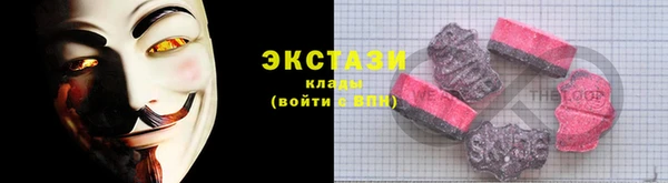 стаф Алексин