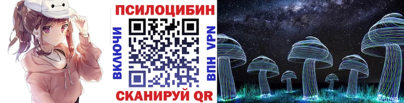 Галлюциногенные грибы Psilocybine cubensis  где купить наркоту  Ленинградская 